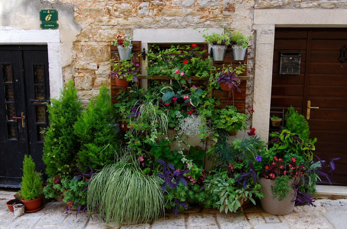 Lush vertical garden and structured potted plants for garden design