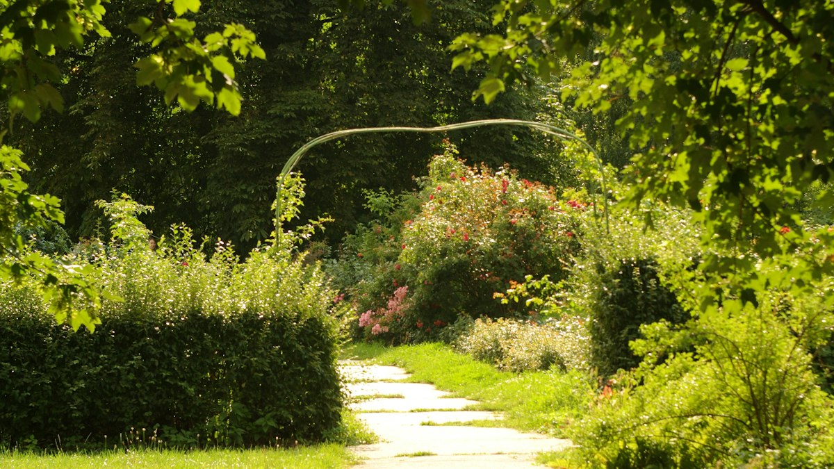 Stone garden path winding through lush natural greenery
