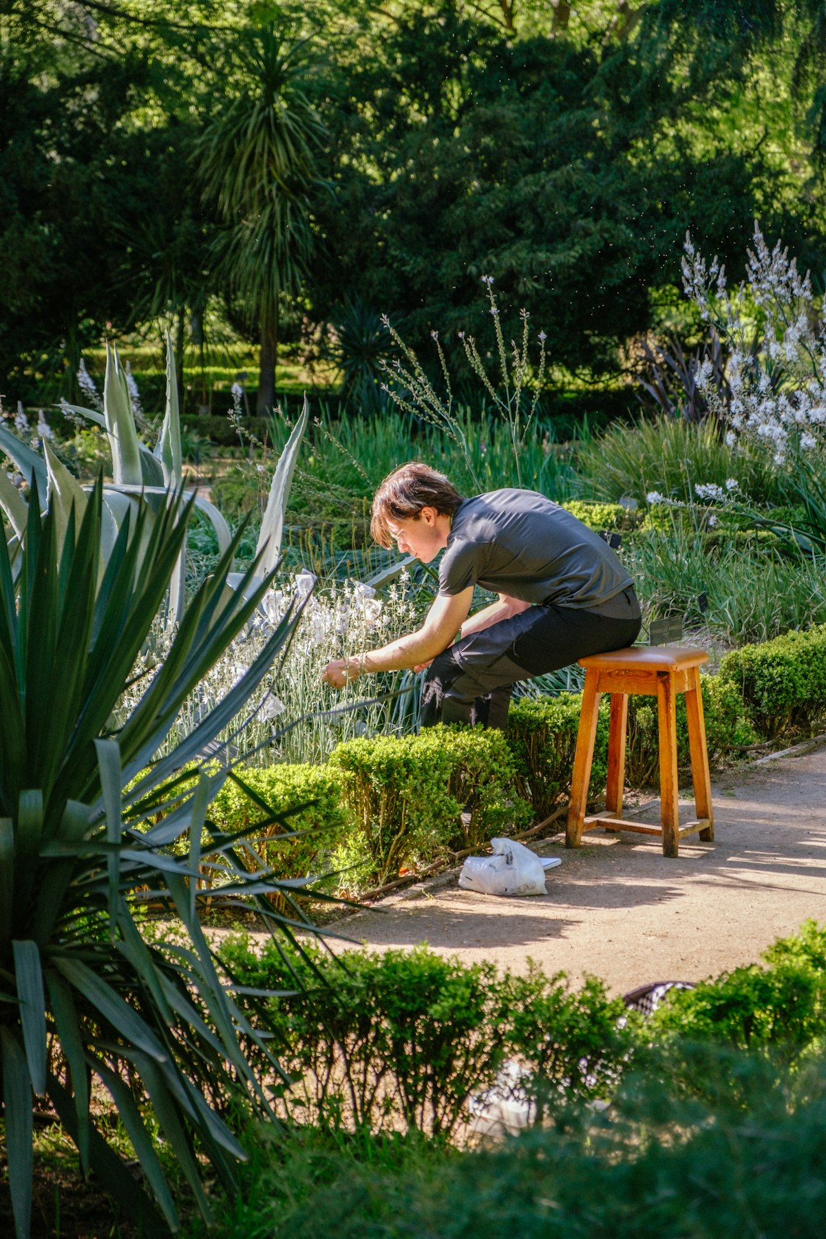 Dedicated gardener carefully inspecting plants and tending flower beds