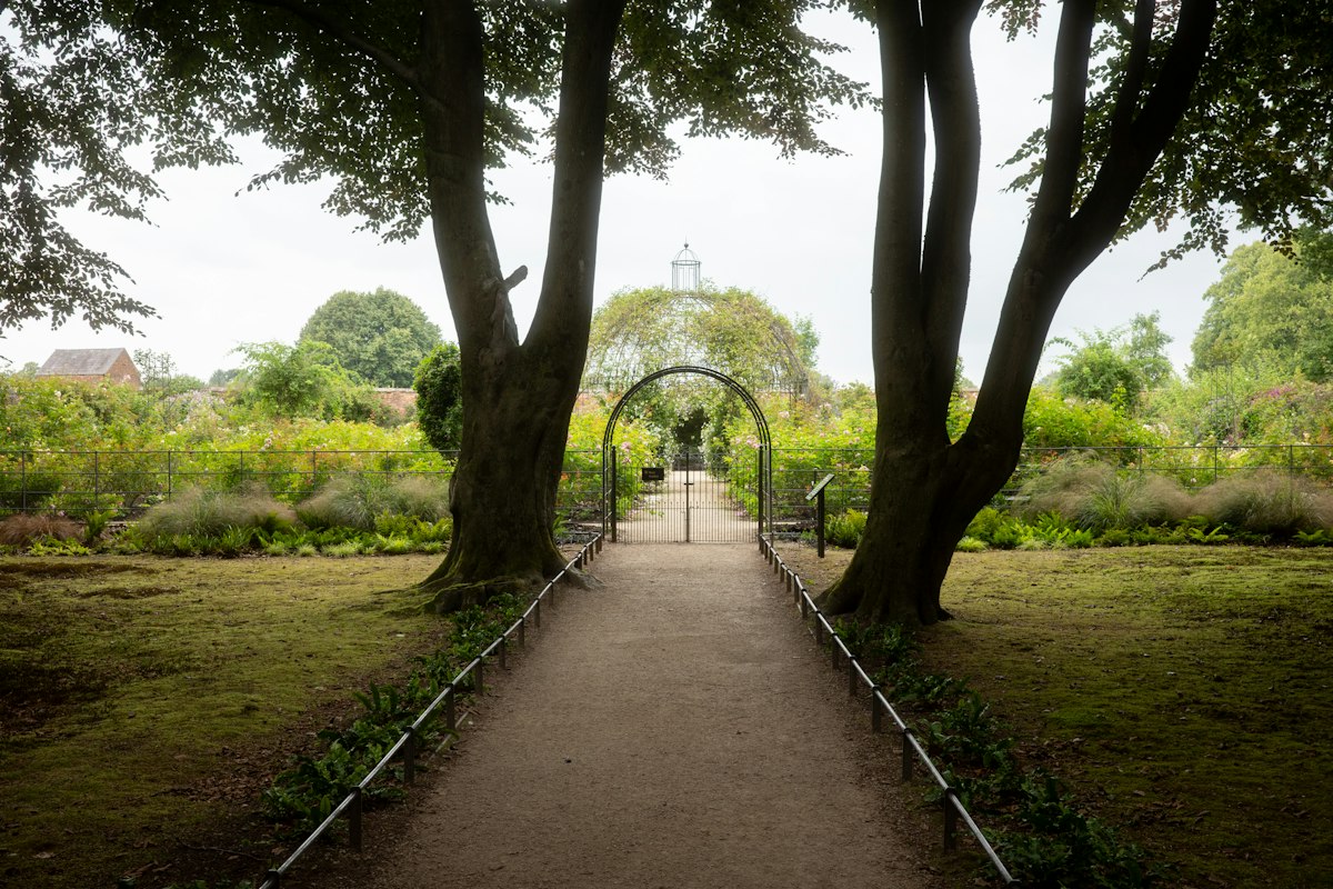 Garden path framed by trees leading to landscape features