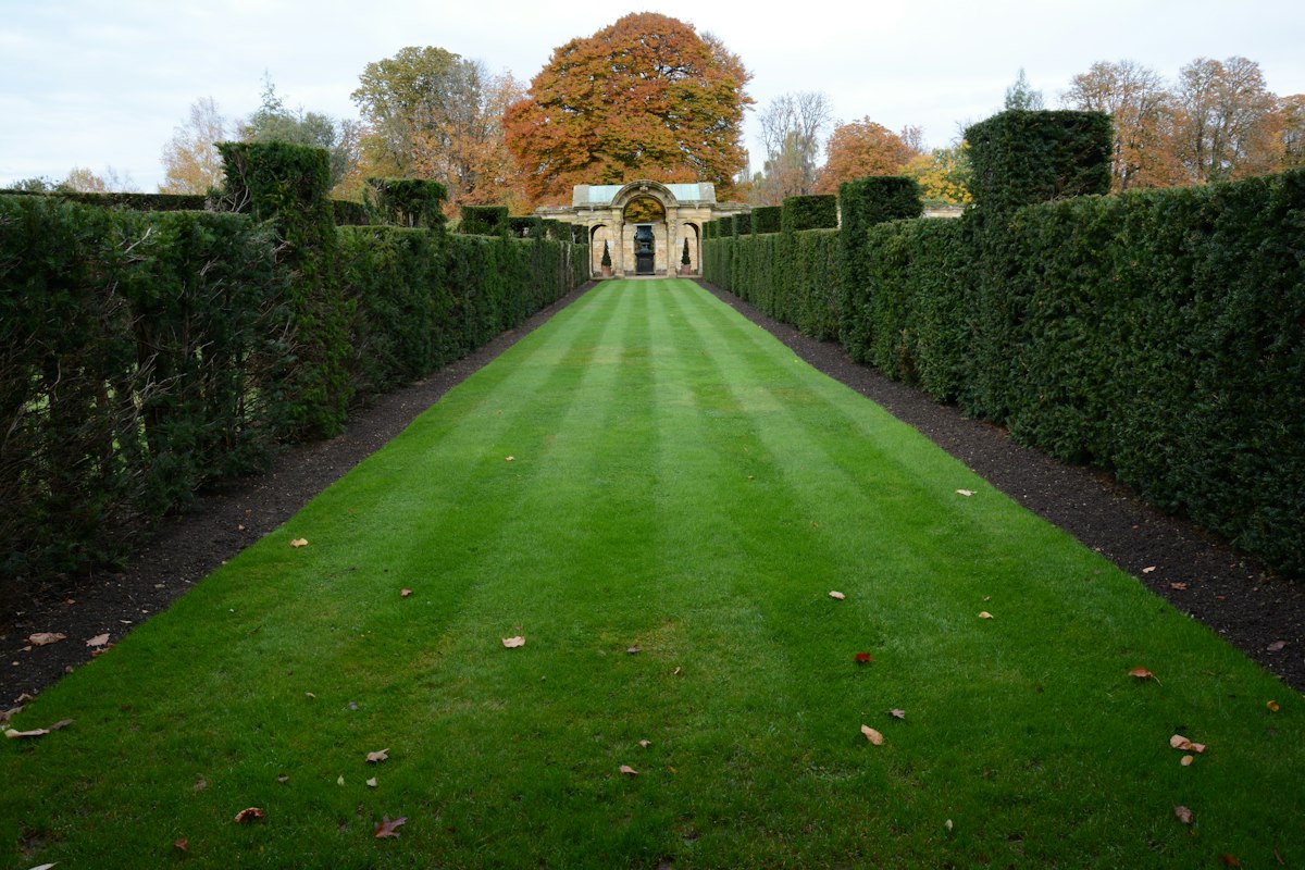 Manicured green lawn with clean edging and hedges
