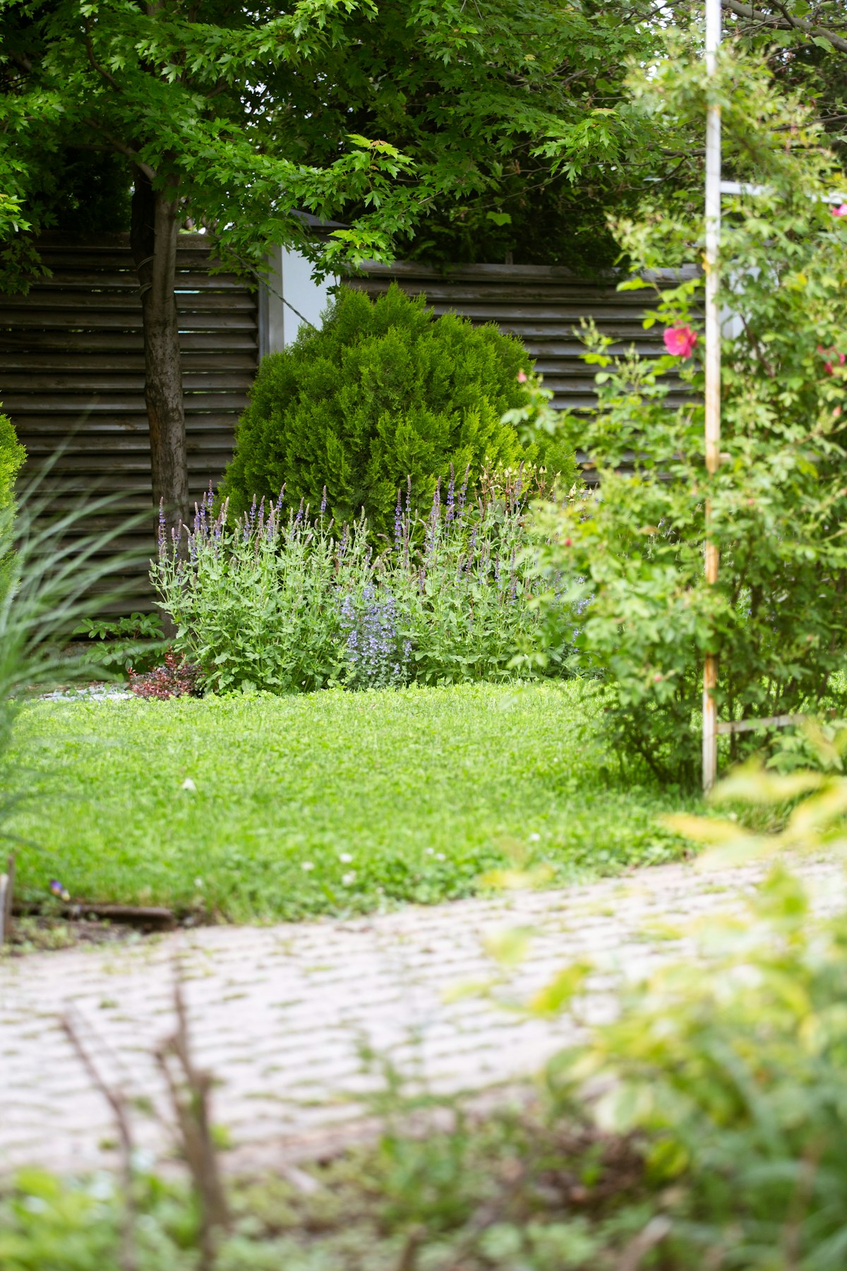 Relaxed garden retreat with comfortable seating and greenery