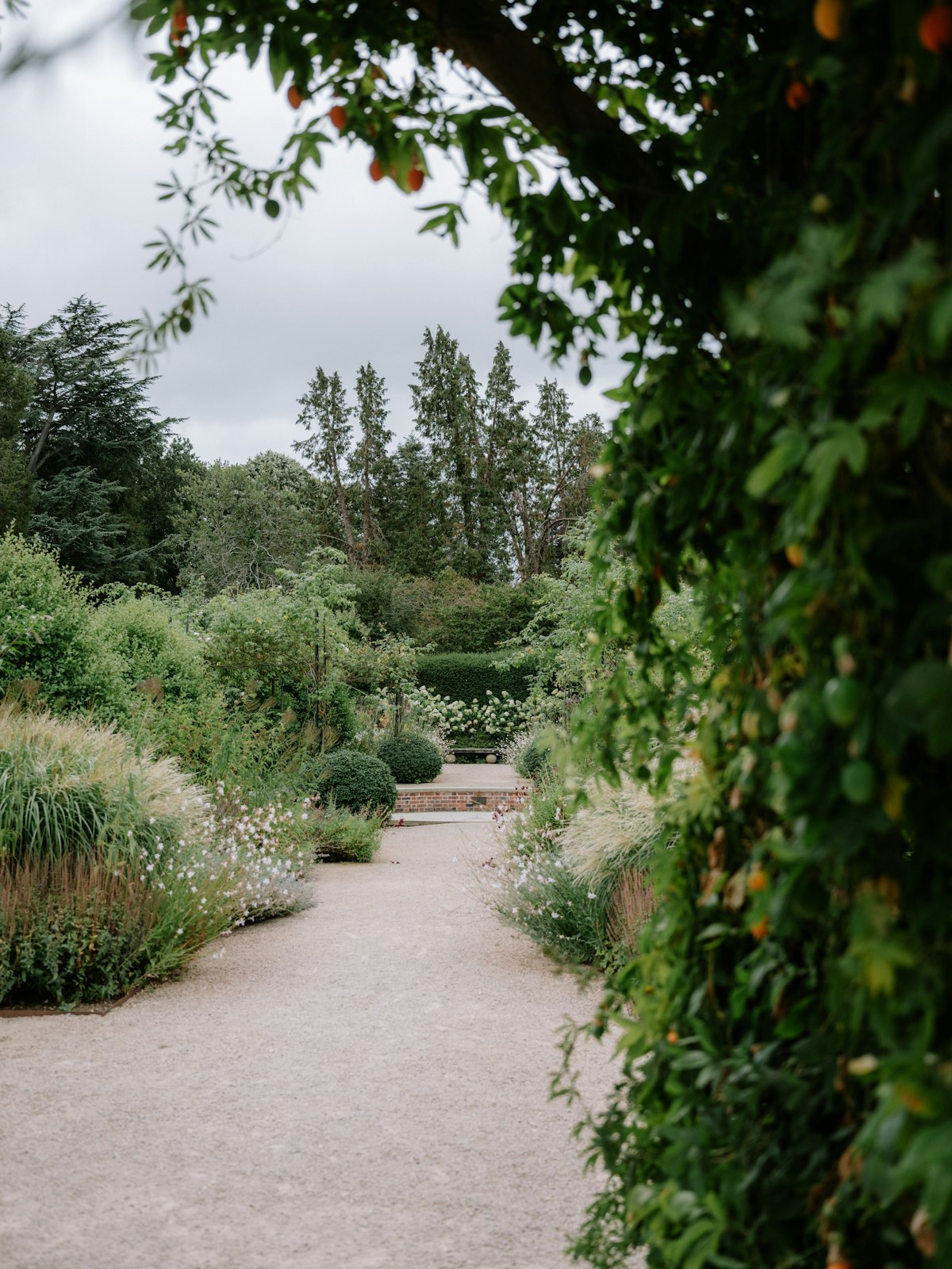 Stone path framed by grasses, shrubs, and natural planting